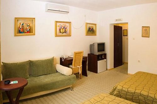 Отель Art Hotel Galeria Плевен-17